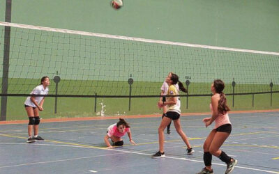 Voleibol