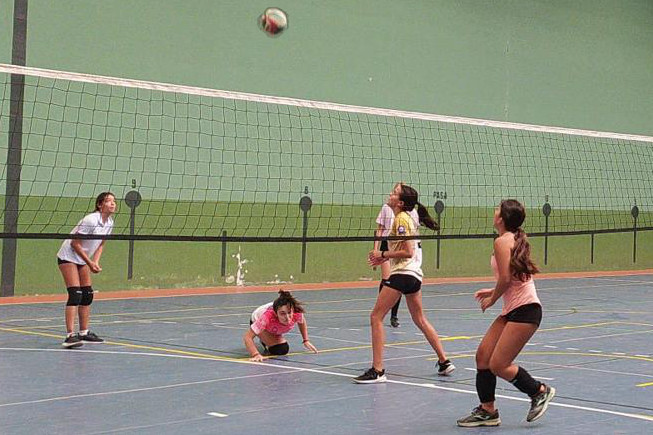 Voleibol